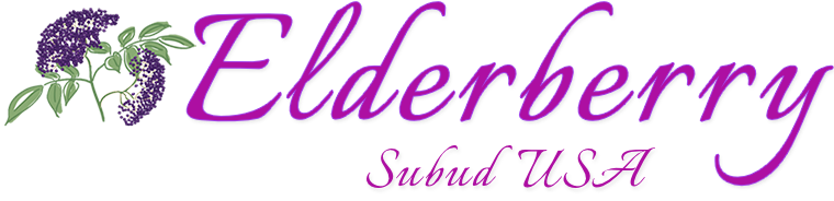 Elderberry Logo